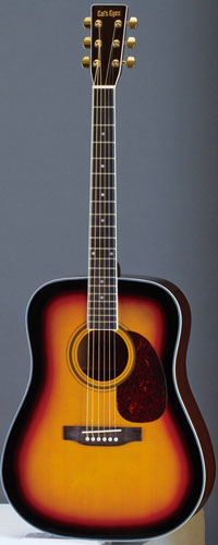 ce25st-3.jpg